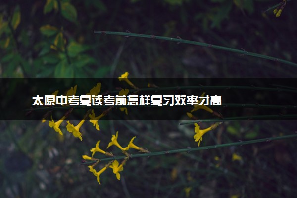 太原中考复读考前怎样复习效率才高