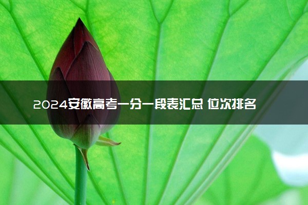 2024安徽高考一分一段表汇总 位次排名查询