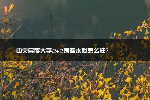 中央民族大学2+2国际本科怎么样？