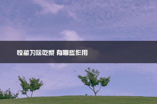 惊蛰为啥吃梨 有哪些作用