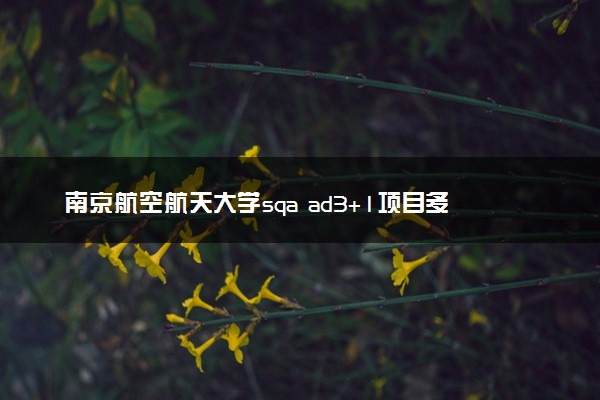 南京航空航天大学sqa ad3+1项目多少分