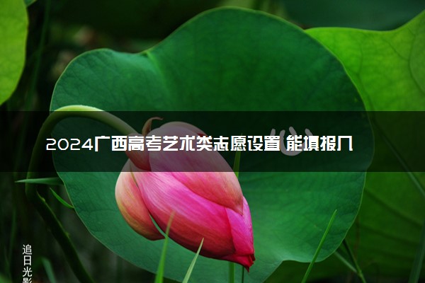 2024广西高考艺术类志愿设置 能填报几个志愿