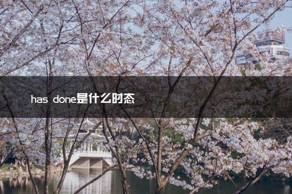 has done是什么时态