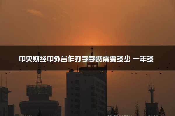 中央财经中外合作办学学费需要多少 一年多少钱