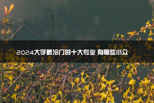 2024大学最冷门的十大专业 有哪些小众专业