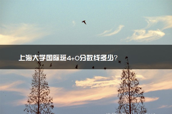 上海大学国际班4+0分数线多少？