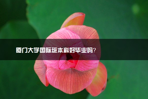 厦门大学国际班本科好毕业吗？