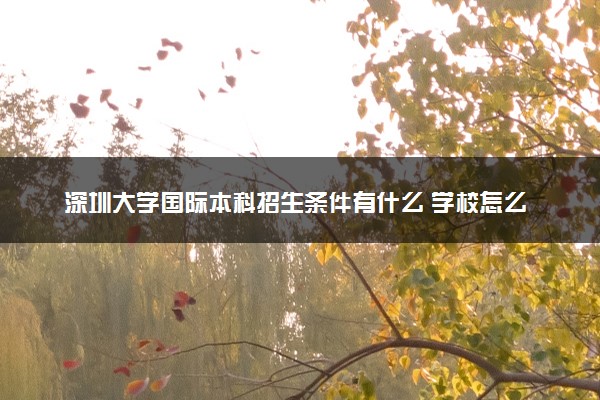 深圳大学国际本科招生条件有什么 学校怎么样