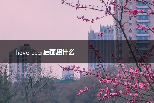 have been后面接什么
