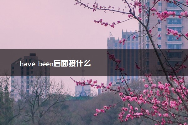 have been后面接什么