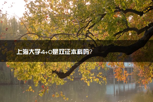 上海大学4+0是双证本科吗？