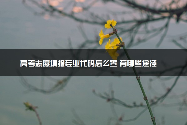 高考志愿填报专业代码怎么查 有哪些途径