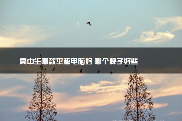 高中生哪款平板电脑好 哪个牌子好些