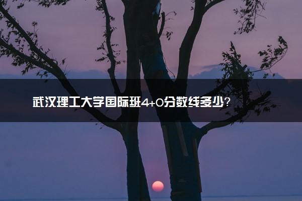 武汉理工大学国际班4+0分数线多少？