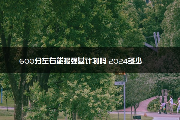 600分左右能报强基计划吗 2024多少分能入围