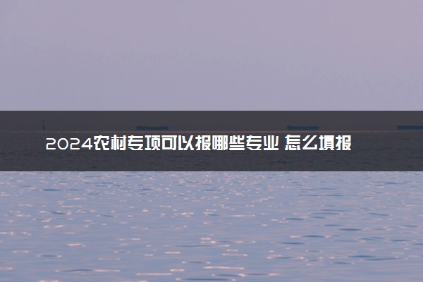 2024农村专项可以报哪些专业 怎么填报