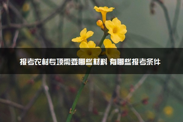 报考农村专项需要哪些材料 有哪些报考条件