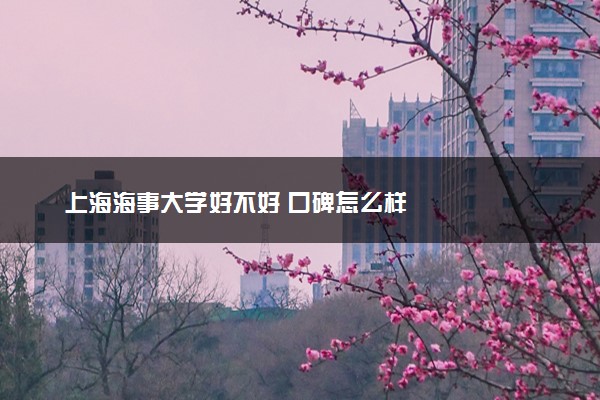 上海海事大学好不好 口碑怎么样