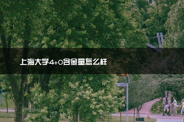 上海大学4+0含金量怎么样