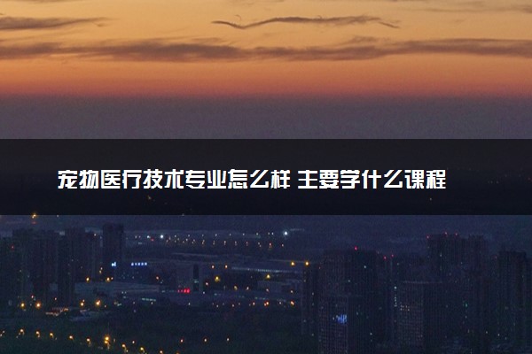 宠物医疗技术专业怎么样 主要学什么课程