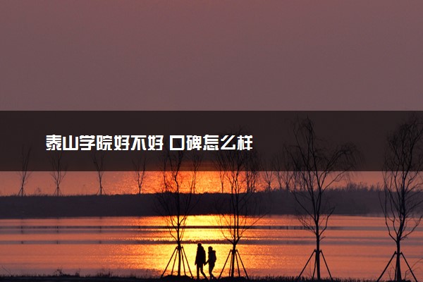 泰山学院好不好 口碑怎么样