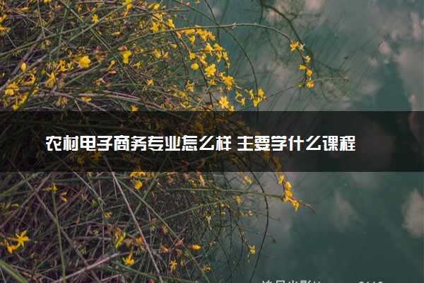 农村电子商务专业怎么样 主要学什么课程