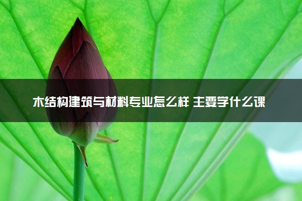 木结构建筑与材料专业怎么样 主要学什么课程