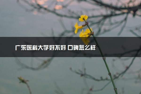 广东医科大学好不好 口碑怎么样