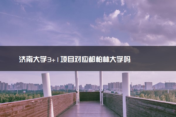 济南大学3+1项目对应都柏林大学吗