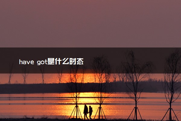 have got是什么时态