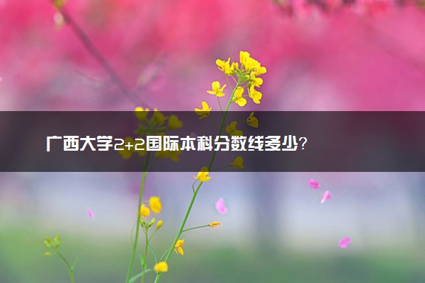广西大学2+2国际本科分数线多少？