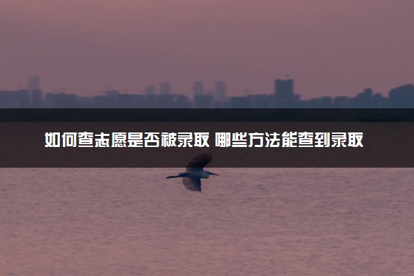 如何查志愿是否被录取 哪些方法能查到录取结果