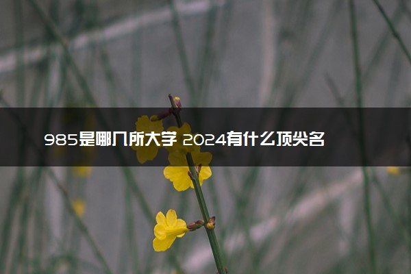 985是哪几所大学 2024有什么顶尖名校