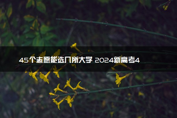 45个志愿能选几所大学 2024新高考45个志愿要填满吗