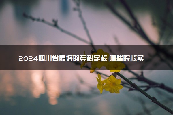 2024四川省最好的专科学校 哪些院校实力强