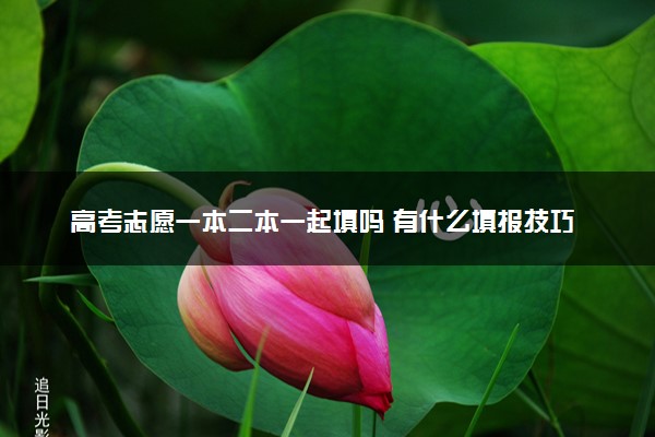 高考志愿一本二本一起填吗 有什么填报技巧