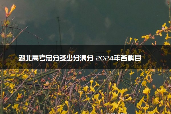 湖北高考总分多少分满分 2024年各科目分值如何分配