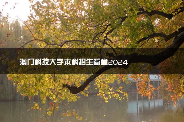 澳门科技大学本科招生简章2024