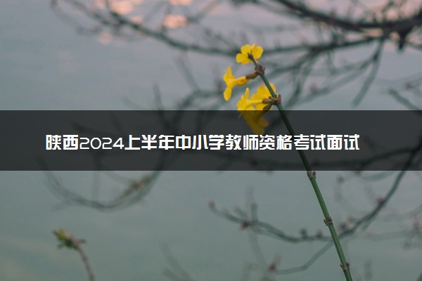 陕西2024上半年中小学教师资格考试面试时间 几号考试