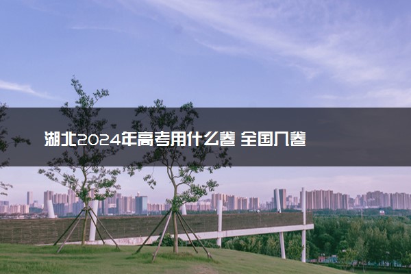 湖北2024年高考用什么卷 全国几卷