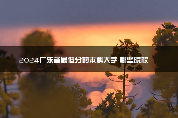 2024广东省最低分的本科大学 哪些院校适合捡漏