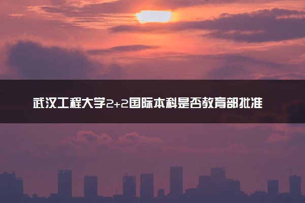 武汉工程大学2+2国际本科是否教育部批准