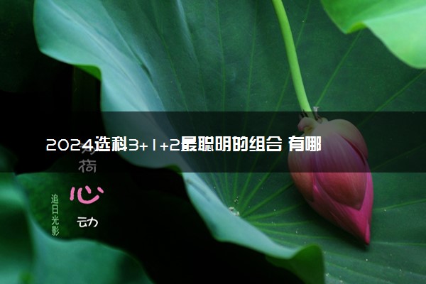 2024选科3+1+2最聪明的组合 有哪些推荐