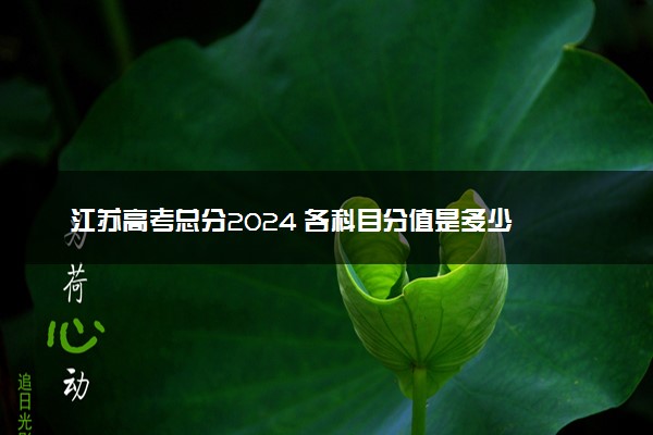 江苏高考总分2024 各科目分值是多少