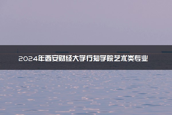 2024年西安财经大学行知学院艺术类专业有哪些