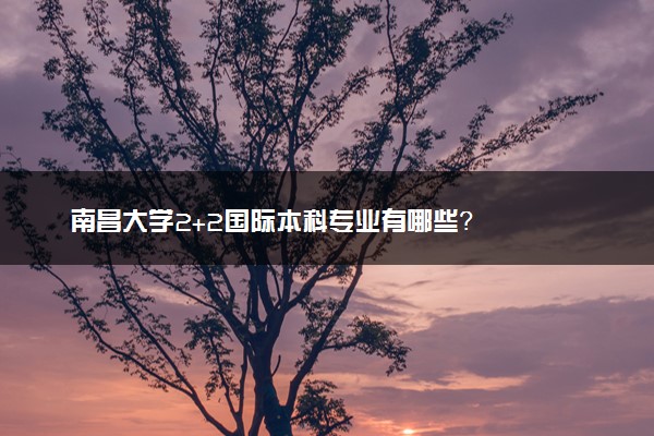 南昌大学2+2国际本科专业有哪些？