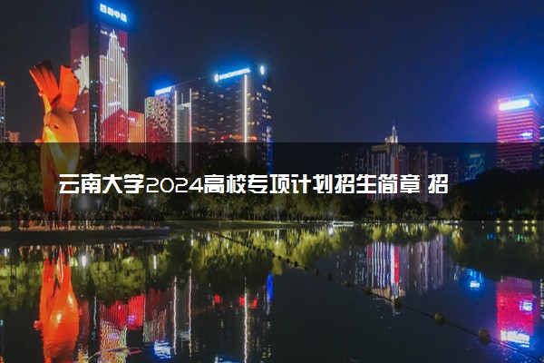 云南大学2024高校专项计划招生简章 招生专业及计划