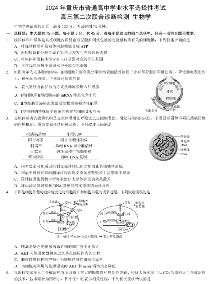 重庆市2024高三4月二诊(康德卷)生物试题及答案解析