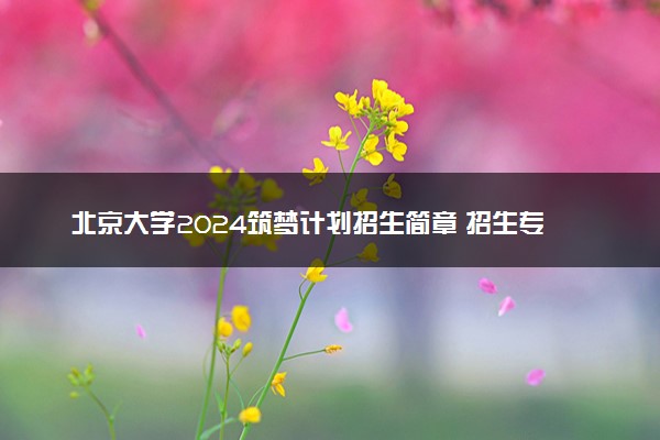 北京大学2024筑梦计划招生简章 招生专业及计划