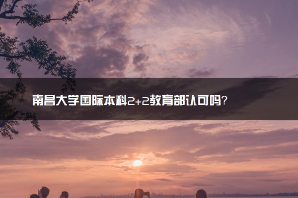 南昌大学国际本科2+2教育部认可吗？